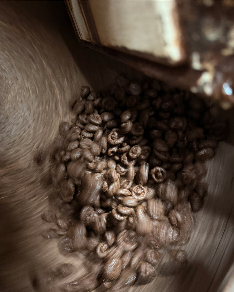 Nestar Chocolate Mushrooms