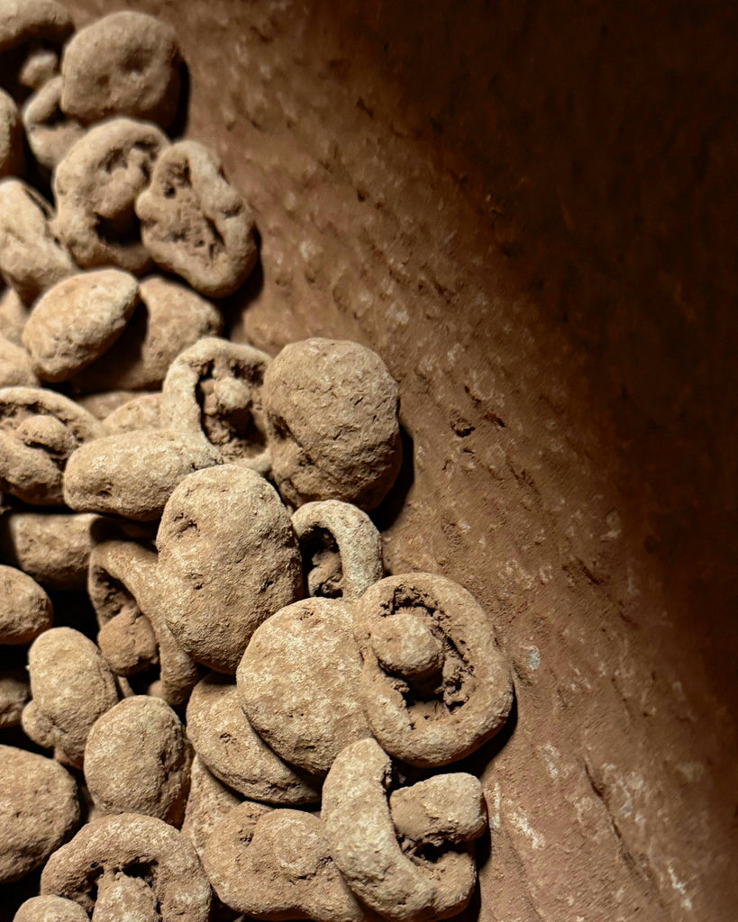 Nestar Chocolate Mushrooms