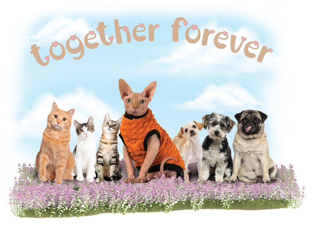 Together Forever Gift